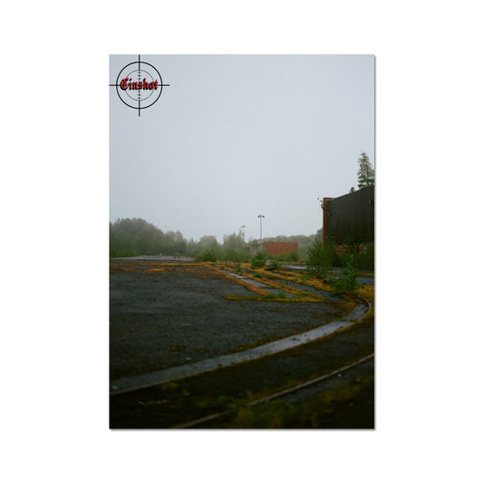 66 Fine Art Print